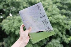 在《青山荡漾》里漫步江南