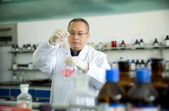 院士走进“一带一路”⑦|让更多中国食品“走出去”——单杨院士团队以科技护航我国食品产能“出海”