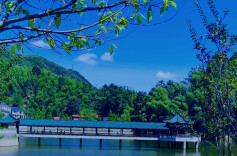 培强产业经济、做活服务经济、开发旅游经济,集体经济收入超10万元的村达201个——龙山景象处处新