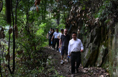 把甘甜带到欧洲去——法国客商来湘考察大熊山古树茶