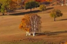 主旋律电影的多元化探索