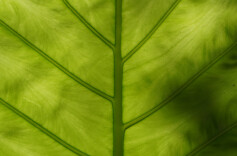 “恍兮惚兮，神与物游”  ——《肖舞音乐评论选》序