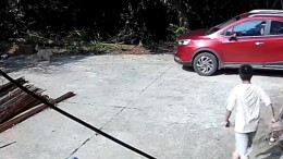 女子忘拉手刹车辆滑行 还好家有机智小狗狂吠警示