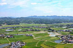 红青印象 魅力石屏