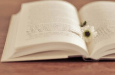 新时代湖湘音乐的纪录与观照 ——评《肖舞音乐评论选》