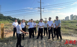 彻底抓好问题整改 用实干绘就生态画卷