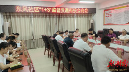 云溪区松杨湖街道：“三湘护农”惠民生，一枝一叶总关情