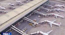 7月运输生产总体保持恢复发展态势