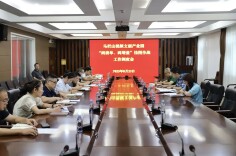 马栏山视频文创园召开“两清单、两增量”挂图作战工作调度会 传达学习全市推进园区高质量发展工作会议精神