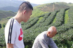 ​将大院扶上云霄