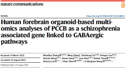 南华大学蒙庆团教授团队在国际知名刊物发表人脑类器官最新研究成果
