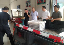 君山生态渔业集团：关键环节入手 进行贴身监督