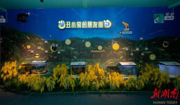 四季均可观察萤火虫！长沙首家萤火虫生态科普馆落户星城