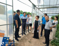 “ 躬身入局”担使命   “相互成就”助振兴   岳阳市老科协调研君山老科协工作