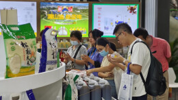 湖南优质特色农产品集中亮相大湾区