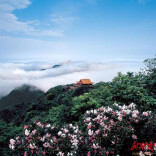 登高赏秋，今年跟着旅发大会的脚步走！