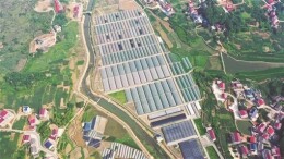 村集体经济如何提升可持续发展能力——娄底市娄星区壮大新型集体经济建设智慧农业产业园调研