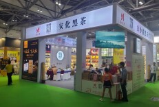 白沙溪盛装参展2023第26届中山茶业博览会