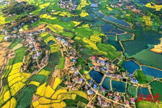 禹山镇：长工故里文旅旺 风声稻浪农业兴