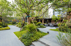 擎领湖湘奢居旗帜，招商蛇口江山·境实景园林开放