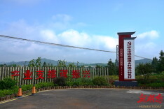 太阳坪乡：渠水河畔扬鞭奋起东风丽日物阜民康