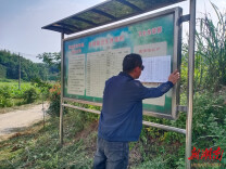 云溪区长岭街道：铆足干劲抓落实 “三湘护农”见实效