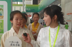 紫色的茶？柳树叶做的茶？苦茶？湖南茶叶真让人开眼界！