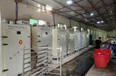 国网临湘市供电公司：暖心电力帮忙  小微企业轻松上阵