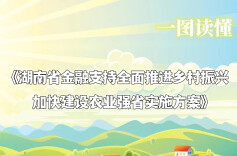 金融支持乡村振兴，湖南发布27条