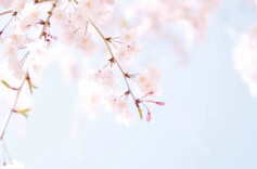 创业福彩 | 福彩牵线当红娘，夫妻共同打造爱的小店