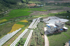 江华沱江镇大干村：瓜果飘香大丰收