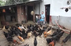 书写残疾人事业全面发展的温暖答卷