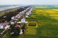 多点发力 创新模式 南县“两新”组织助推乡村振兴