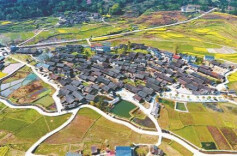 靖州：“周例会”促乡村振兴