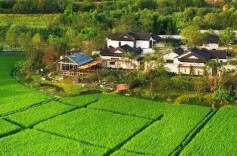 海报 | 如何充分发挥代表在乡村振兴中的作用？来看这些散发泥土清香的发言