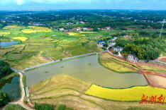 狮子岭村：山塘润沃野 农旅唱振兴