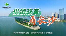 专题｜供销改革看长沙