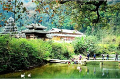 播阳镇：林长当家强使命 青山绿水谱新篇