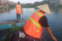 邵东市：加强黑臭水体治理  让水环境长治久清
