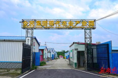 杨林街镇：鸽声唱响振兴路 产业强镇百姓富