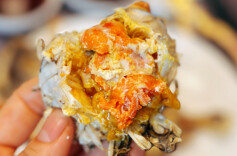 领“鲜”爬上餐桌，今秋第一网阳澄湖大闸蟹“空降”新长福