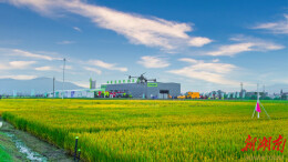 数字赋能智向未来 全国智慧农业现场推进会走进中联重科峨桥智慧农场