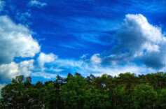 乐为保健作奉献，不用扬鞭自奋蹄 ——《峥嵘岁月》读后感