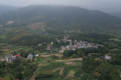 江华：小菌包进棚释放致富大“蘑”力