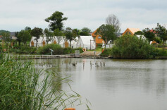 乡村水生态治理  长沙县让“绿水青山”引来“金山银山”