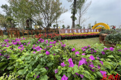 要闻丨永州市首届花卉苗木博览会暨宋家洲欢乐游园活动开幕式举行