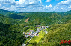 文溪乡：党建引领促振兴 宜居村庄入画来