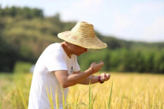 这些年轻人种地用上AI，手机“拍一拍”就能给农作物“看病”