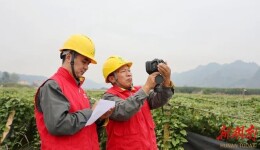 秋收用电有保障 用心服务“零距离”