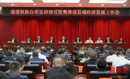 全县招商引资暨推进县域经济发展工作会召开 毛运鸿主持并讲话